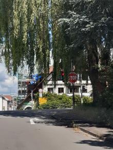 Trauerweide verdeckt die Ampel.