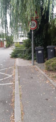 Trauerweide verdeckt die Straßenschilder