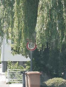 Trauerweide verdeckt Straßenschild