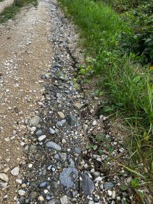 Waldweg ausgespült