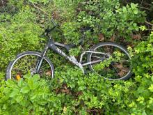 Fahrrad liegt im Gebüsch 