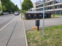 Mehrere Mülleimer im Bereich Mezgerweidring Berufschule sind voll