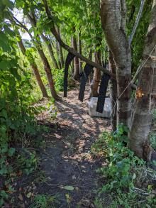 Müllablage oder wilder Abenteuerspielplatz