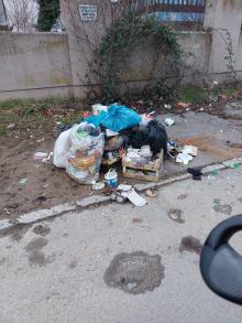 unschöne Müllentsorgung Wohngebiet