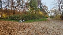 Wilder Müll im Wald ggü. Camping Willam