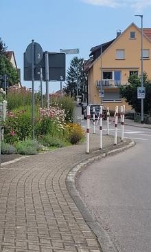 Sträucher behindern Sicht im Straßenverkehr 