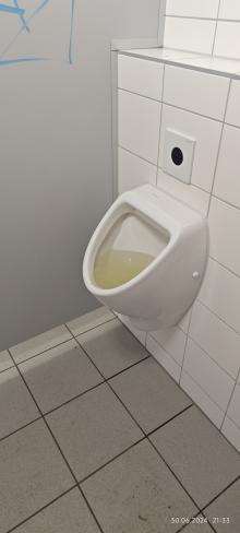 Urinal Konzertmuschel verstopft 