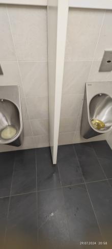 Urinale sind wieder verstopft 