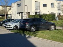 Begehrter Parkplatz auf einer Grünanlage